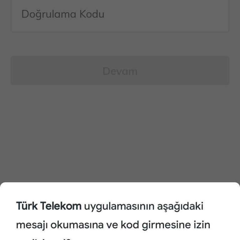 Fatura Detaylarına Erişim Sorunu