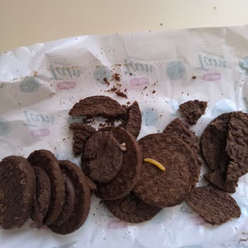 Torku Kremalı Paketten Kurt Şoku!