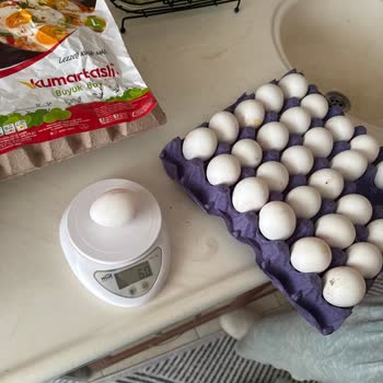 Yumurtaların Boyutları Bekleneni Karşılamıyor