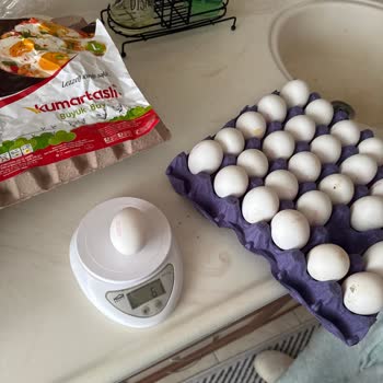 Yumurtaların Boyutları Bekleneni Karşılamıyor