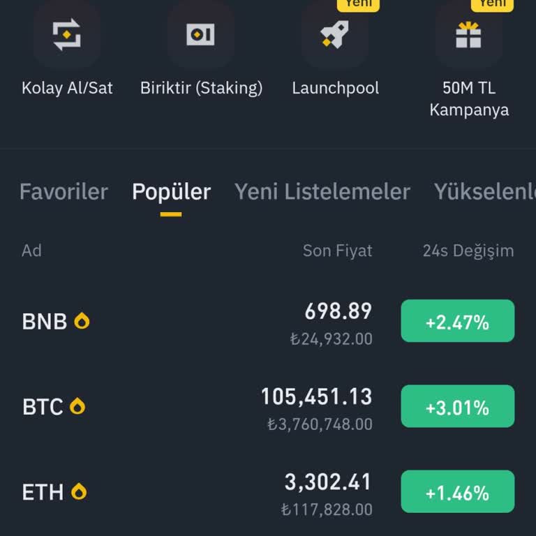 Binance TR'ye Giriş Sorunu