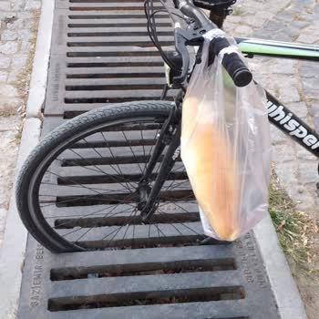 Gaziemir'de Mazgal Sorunu: 7 Aydır Çözüm Bekleniyor!