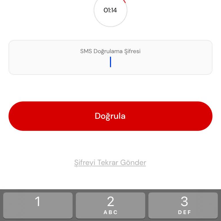 Passolig SMS Sorunu Maç Biletimi Tehlikeye Atıyor