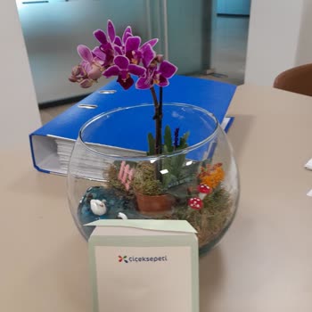 Yanıltıcı Orkide Siparişi: Gerçek Çiçek Beklerken Hayal Kırıklığı