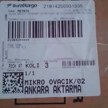Sürat Kargo'da Teslimat Sorunları Ve İlgisizlik