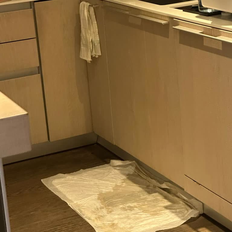 Conax Teknik Servis Mağduriyeti: Arıtma Cihazı Su Akıtıyor