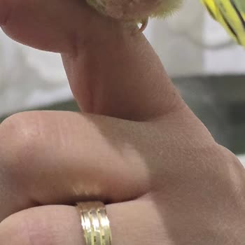 Doğa Veteriner Kliniği | Kütahya Hiçbir Şey Yapmadığı Halde Ücret Aldı!