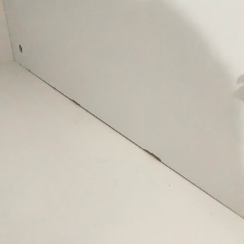 Evdiz Yanlış Montaj Ve Kalitesiz Ürün Sorunu!