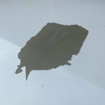 Nissan Qashqai'de Kronik Tavan Boya Sorunu