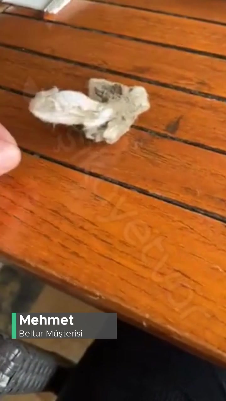 Paşalimanı Beltur Temizlik Problemi! videonun kapak resmi