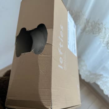 Kargomun Yanlış Teslimatı Ve Hasarlı Durumu