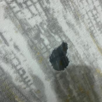 Halı Yıkama Hizmetinde Büyük Hayal Kırıklığı