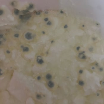 Bosch Buzdolabı Sorunu: Donduran Soğutucu Ve Çözüm Beklentisi