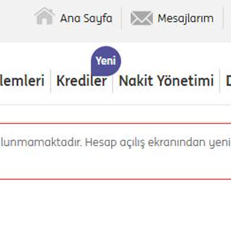 ING Bankası Hesap Kısıtı Ve Müşteri Hizmetleri Sorunu