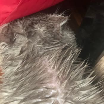 Trendyol Vitexpert Ürün Şikayeti