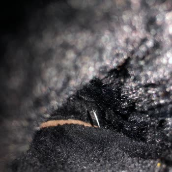 Çivili Kar Botu İle Tehlikeli Deneyim