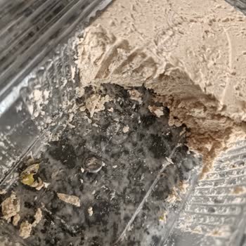 BİM Marketten Alınan Helvada Vida Şoku