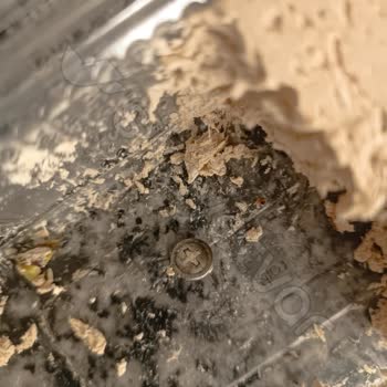 BİM Marketten Alınan Helvada Vida Şoku