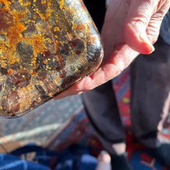 Şok Marketler Lio Zeytin Şikayeti