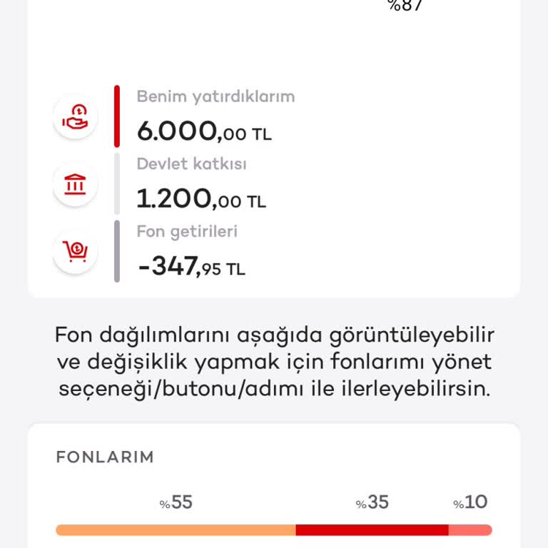 Agesa Emeklilik Fonlarındaki Zararın Gizemi