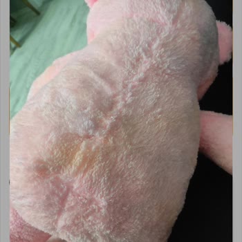 Renk Veren Peluş Ayı Ve İade Sorunu