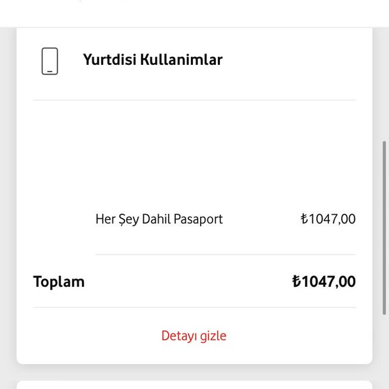 Bilgim Dışında Yüklenen Yurt Dışı Pasaport Paketi Şoku