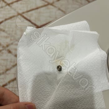 Kokoreçte Taş Şoku!