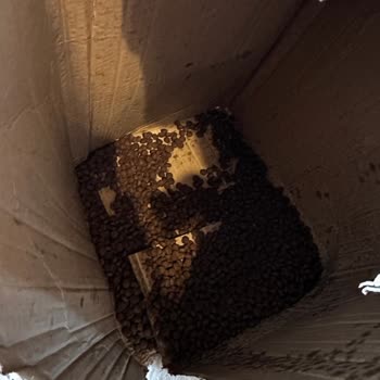 Kargo Hizmetinde Sorumluluk Eksikliği