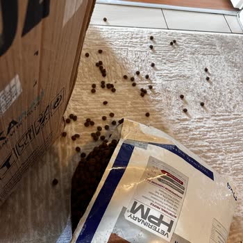 Kargo Hizmetinde Sorumluluk Eksikliği