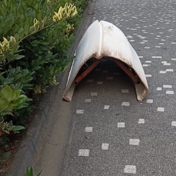 Kartepe Zeray Forum Anatolia'da Hayal Kırıklığı