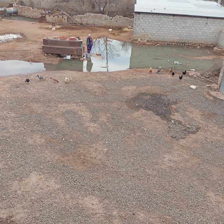 Marsu'nun İhmali: Köyde Sağlık Tehlikesi