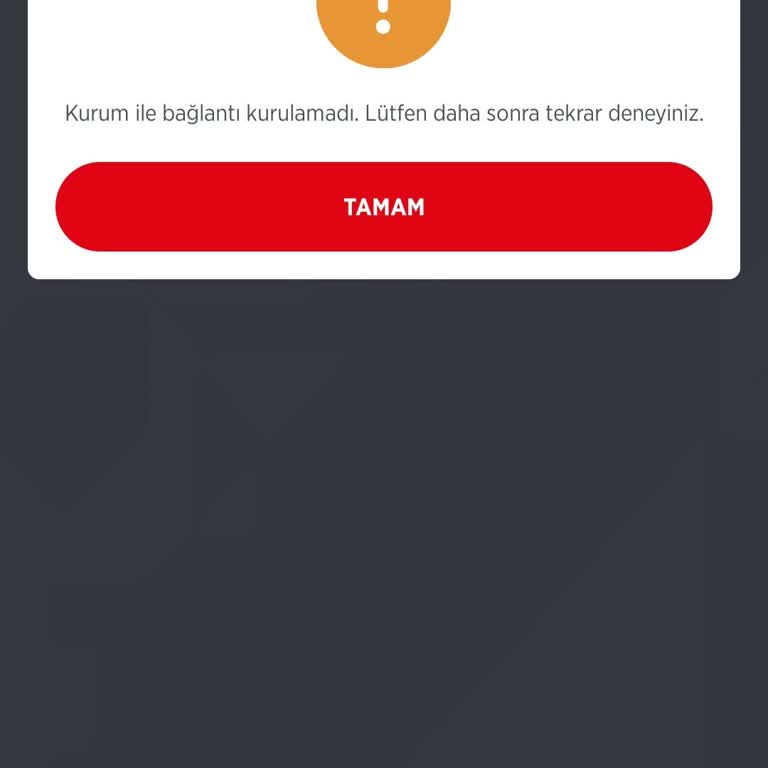 Elektrik Faturası Ödeme Sorunu: Kurum Bağlantı Hatası