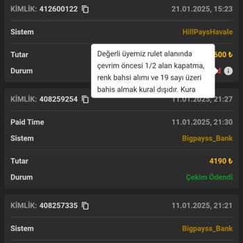 Yatırım Yaptığım Sitede Kazancım Sıfırlandı