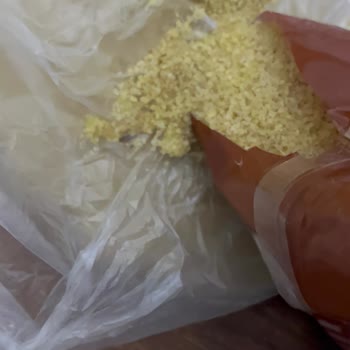 Yöremce Bulgurda Böcek Ve Kurt Sorunu