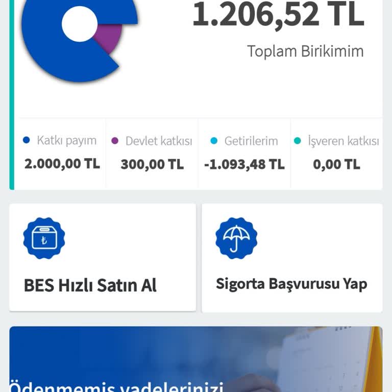 BES Yatırımları Hayal Kırıklığına Uğrattı