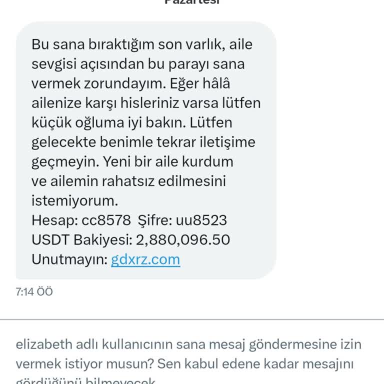 Yetkisiz Hesap Kullanımı Ve Bilgi Güvenliği Endişesi