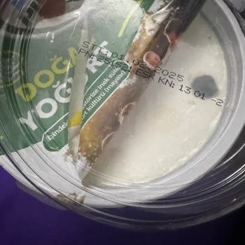 Son Tüketim Tarihi Gelmeden Küflenen Yoğurt