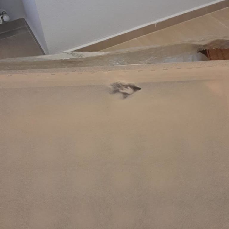 Kelebek Mobilya'da Teslimat Ve Servis Sorunları