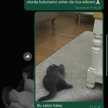 Ulusoy Nakliyat: Eşyalarımız Kayboldu Ve İletişim Kesildi!