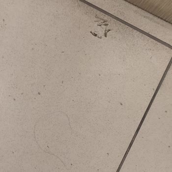 LCW Mağaza Kabinleri Pislik İçinde, Çalışanların Tavrı Kötü