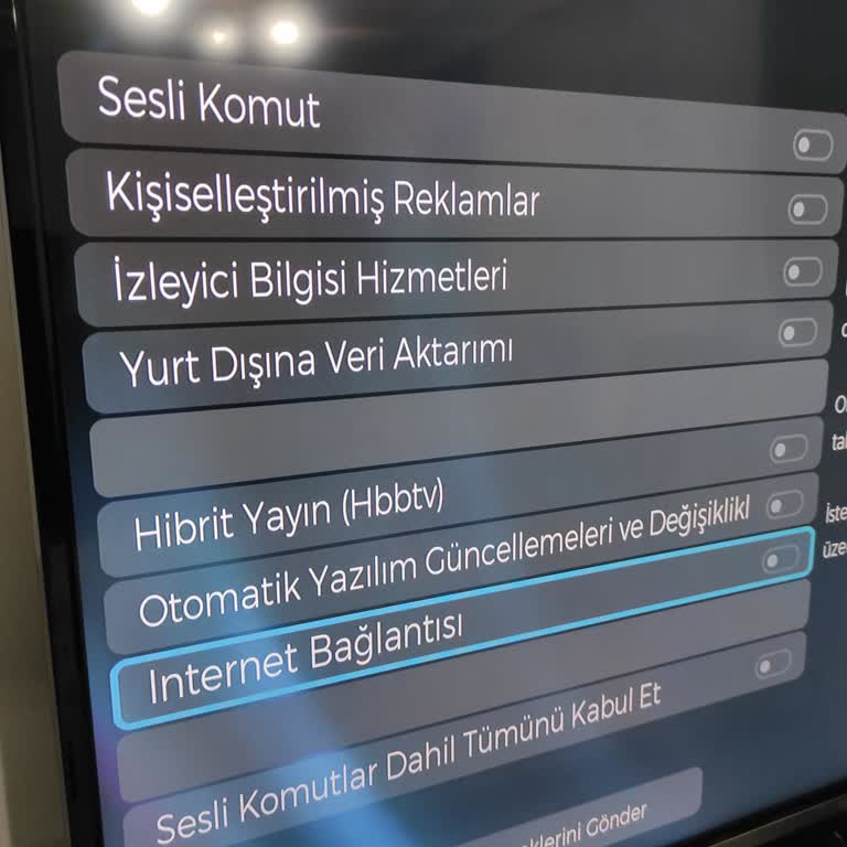 Regal TV Güncellemesi Sonrası Kullanım Sorunları