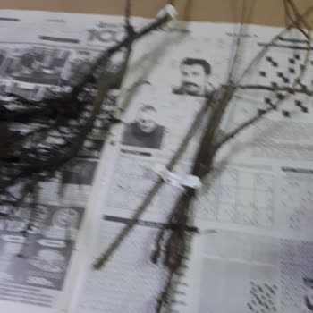 Yanlış Ürün Gönderimi Ve İlgisizlik