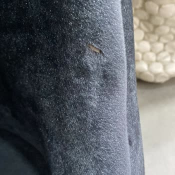 Mobilya Teslimatında Sürekli Sorun Ve İlgisizlik