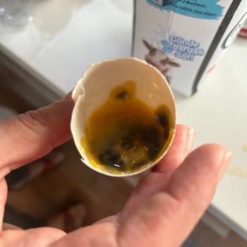 Migros Hemen'den Gelen Bozuk Yumurtalar