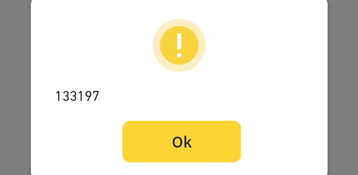 How to Fix Binance Error 133197: Liveness Check and Camera Not