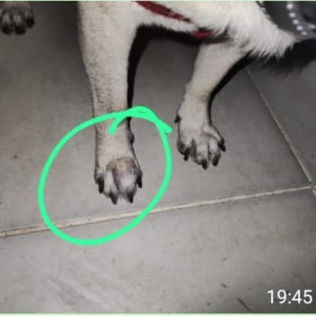 Yanlış Tedavi Ve İlgisizlikle Karşılaşma