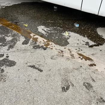 Bagajda Zeytinyağı Zayiatı Ve İlgisizlik
