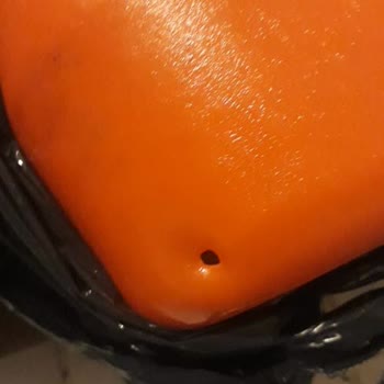 Bagajda Zeytinyağı Zayiatı Ve İlgisizlik