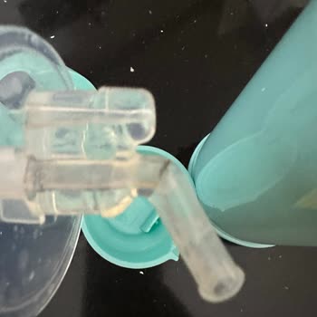 Termoslu Sulukta Küflenme Sorunu