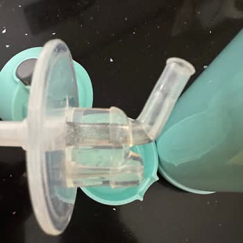 Termoslu Sulukta Küflenme Sorunu